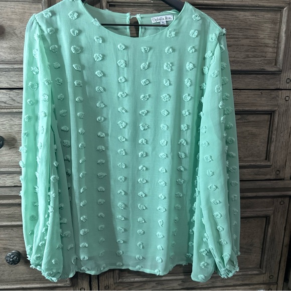 Mint Green Textured Women's Top whimsical - Picture 2 of 8